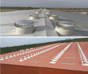 Roof Ventilator
